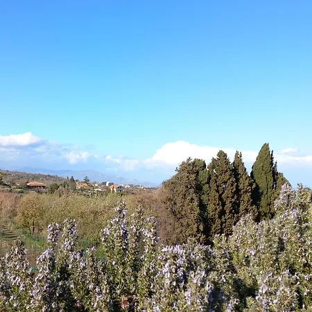 Vakantiehuis Etna Green House *