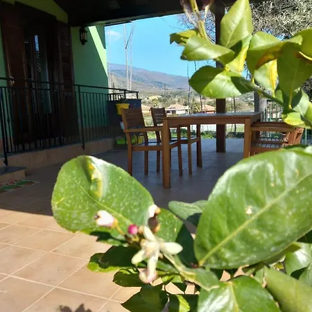Etna Green House