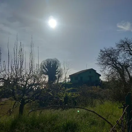 Etna Green House Holiday home Zafferana Etnea