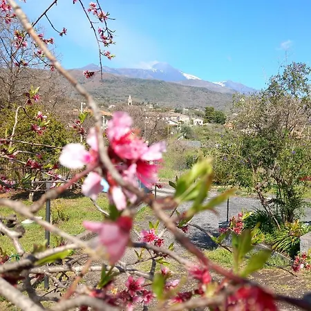 Etna Green House *