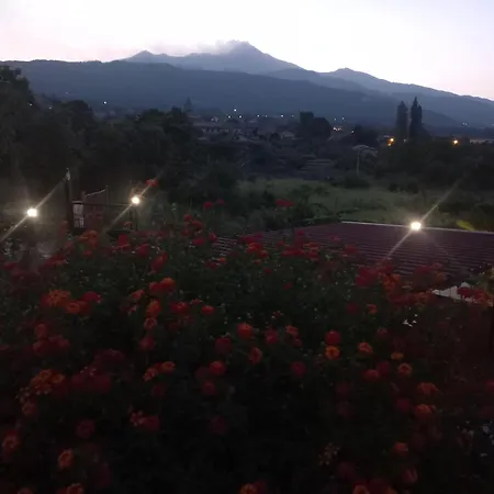 Etna Green House