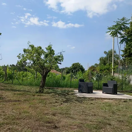 Etna Green House Zafferana Etnea